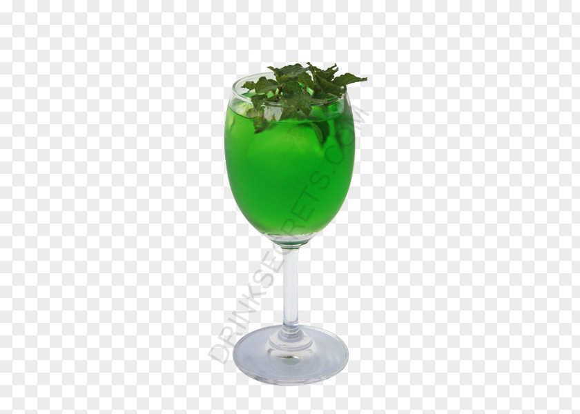 Southern Smilax Greenery Cocktail Garnish Liquor Pastis Liqueur PNG