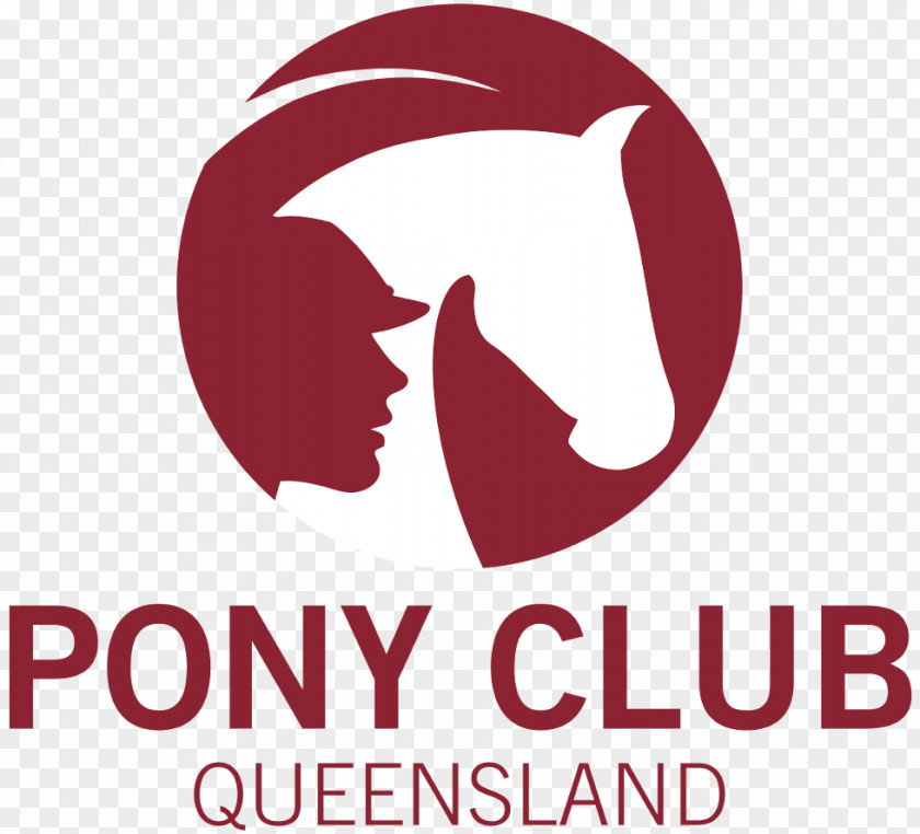 Horse Queensland Pony Club Australia The PNG