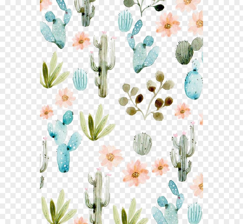 Cactus Cactaceae Succulent Plant Wallpaper PNG