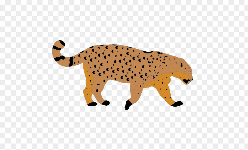 Cheetah Leopard Lion Tiger Pattern PNG