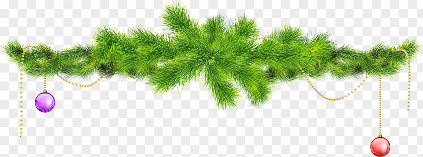 Dill Plant Stem Christmas Tree White PNG