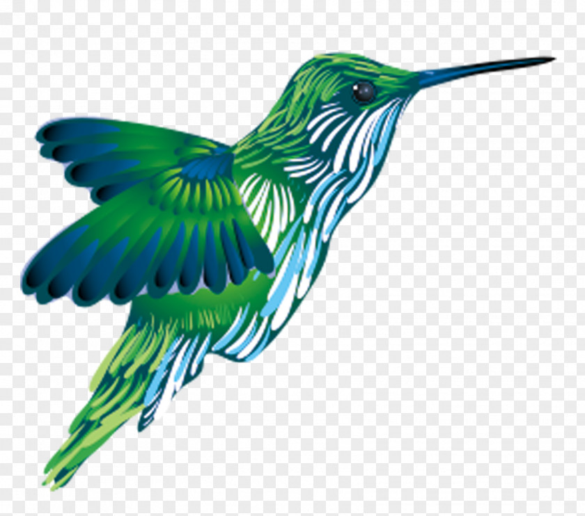Green Kingfisher Flying Hummingbird PNG