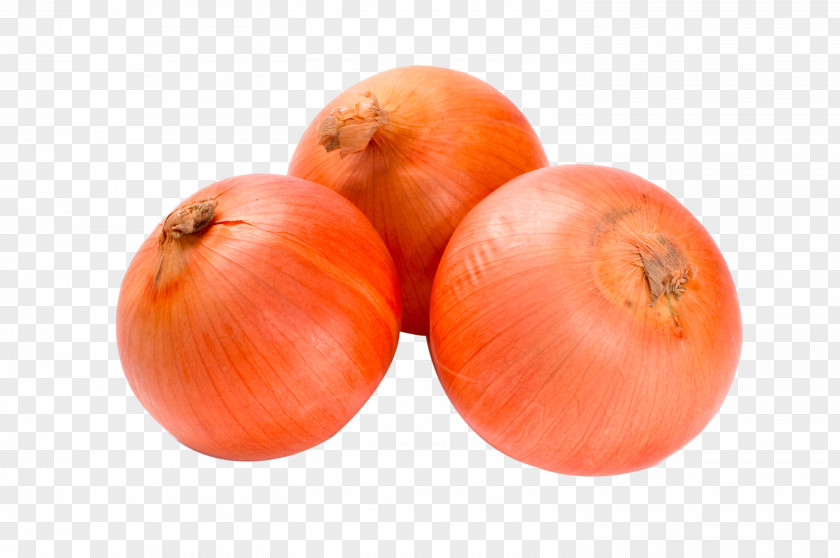 HD Fresh Onion Tomato Garlic Allium Fistulosum Chinense PNG