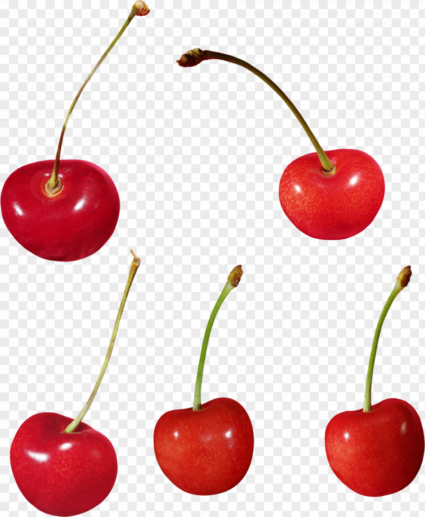 Mangosteen Cherry Food Cerasus PNG
