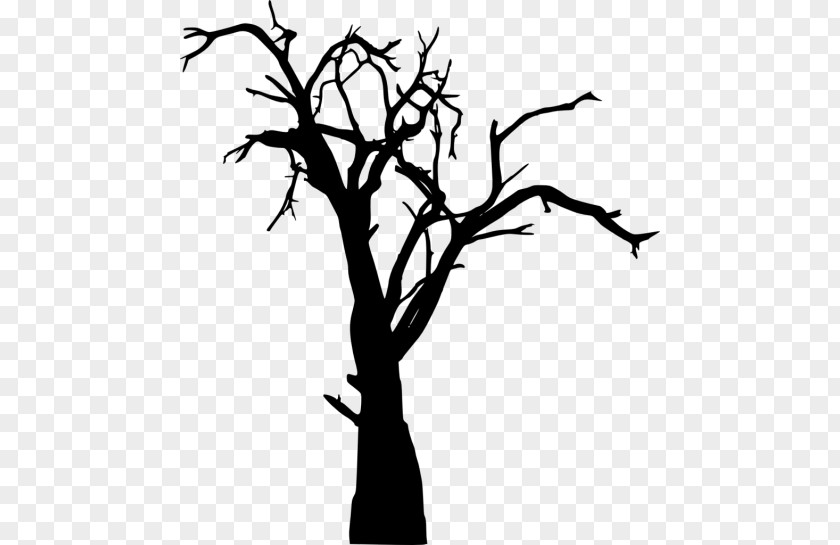 Tree Twig Branch Clip Art PNG
