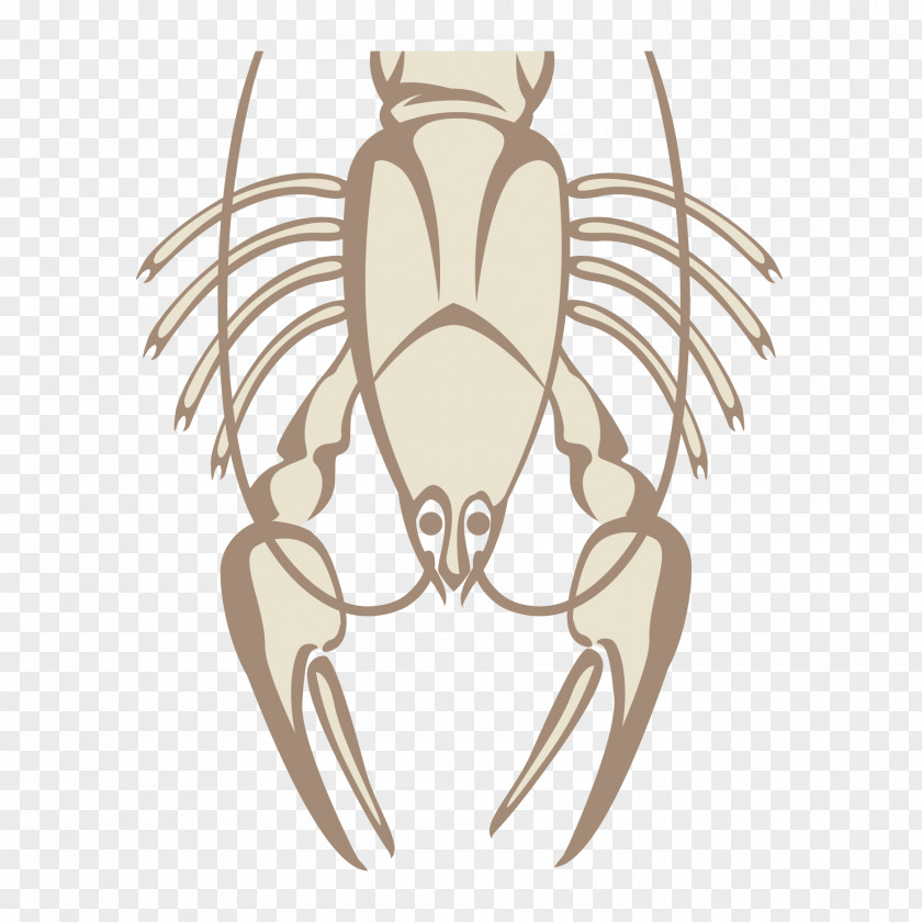 Vector Line Beer Lobster Seafood Illustration PNG