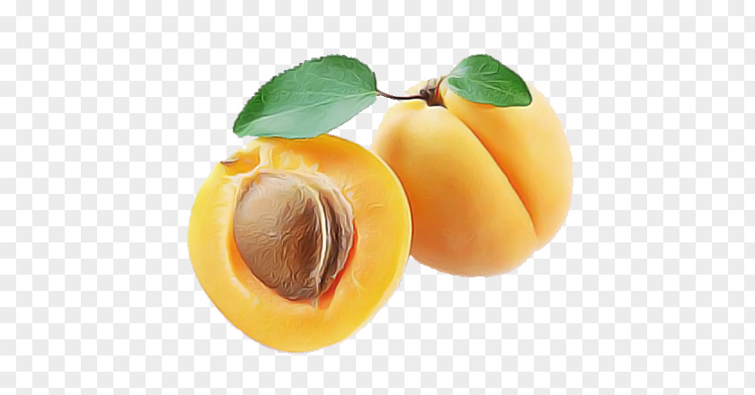 Apricot Armenian Plum Calorie Fruit PNG
