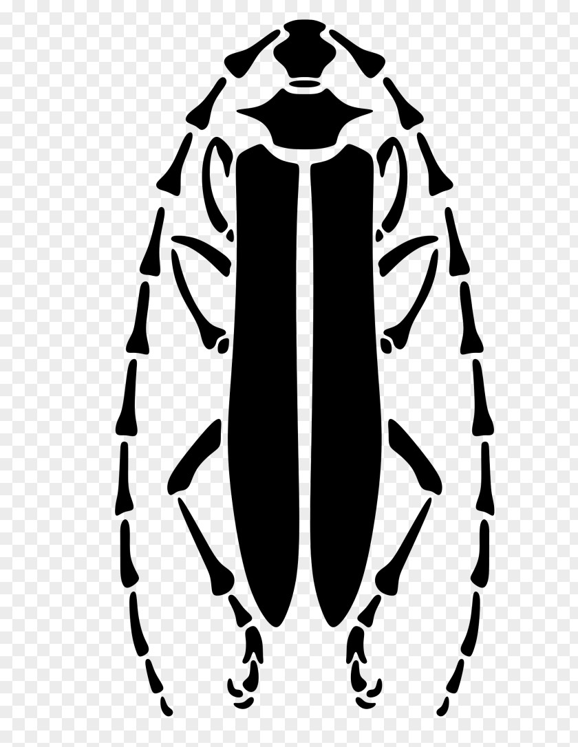 Beetle Stencil Art Clip PNG