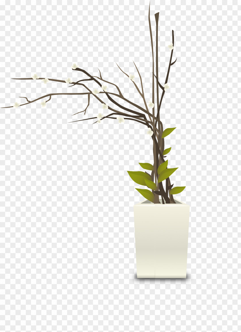 Herb Houseplant Vase Flowerpot PNG