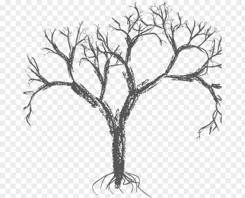 Tree Vector Graphics Branch Drawing Image PNG