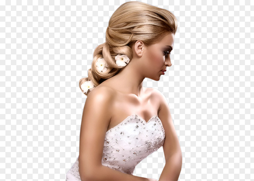 Bride PNG clipart PNG