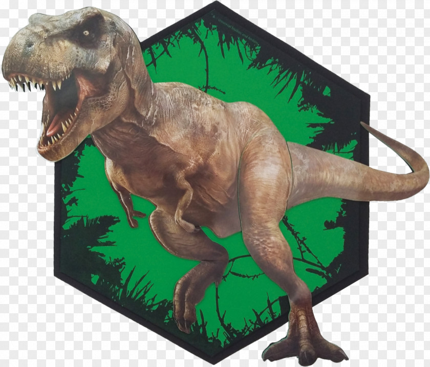 Dinosaur Tyrannosaurus Spinosaurus Giganotosaurus Theropods PNG