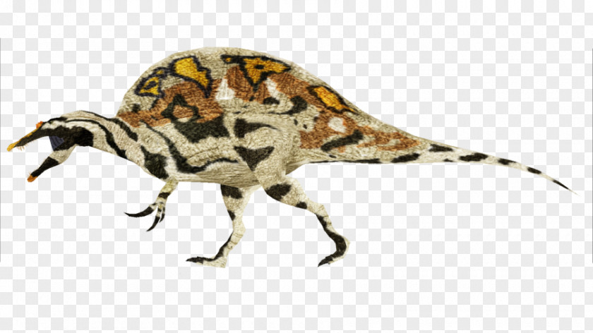 Insect Terrestrial Animal Dinosaur PNG