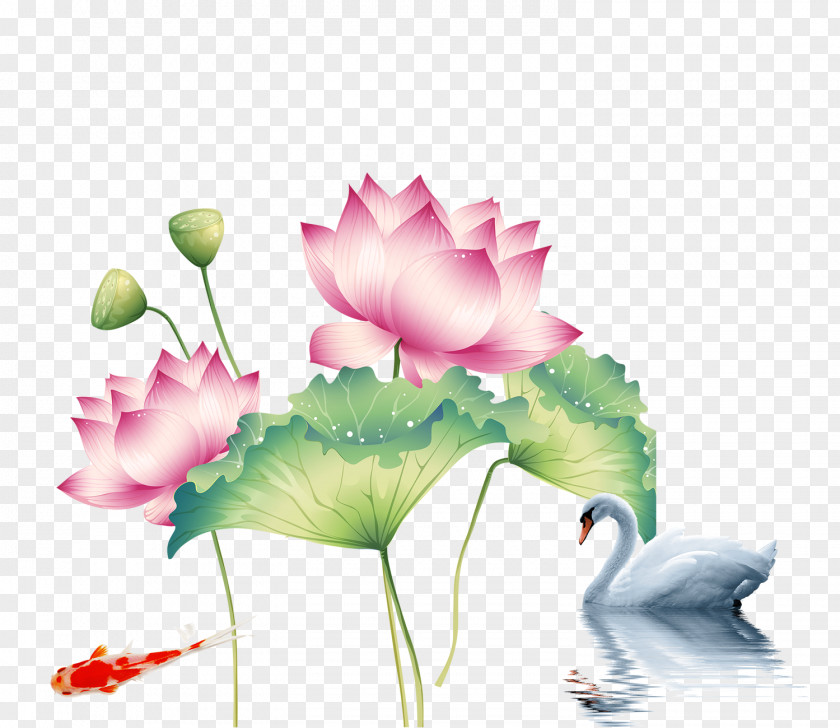 Lotus Goldfish Swan China Europe U756bu8377u82b1 Falun Gong Painting PNG