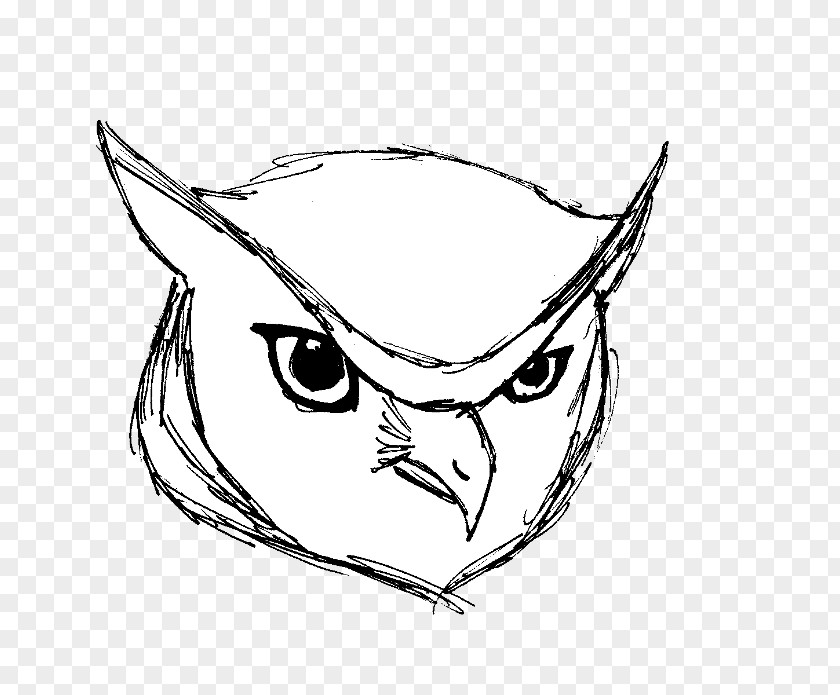 Owl Sketch Line Art Clip Dog PNG