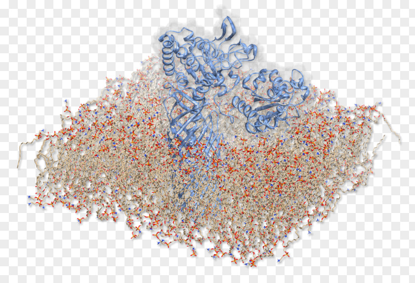 Technische Universität Darmstadt Molecular Dynamics International Genetically Engineered Machine YASARA Comparison Of Software For Mechanics Modeling PNG