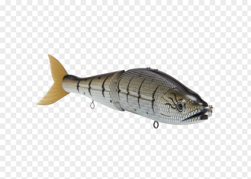 Mackerel Baby Bass Oily Fish Fishing Baits & Lures Venom PNG