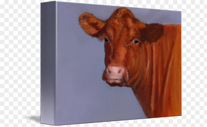 Painting Hereford Cattle Paper Beef Zazzle Wedding Invitation PNG