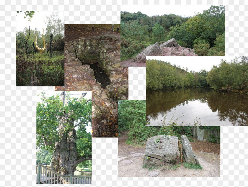 Barentonbugny Nature Reserve Water Resources Property Wetland Flora PNG