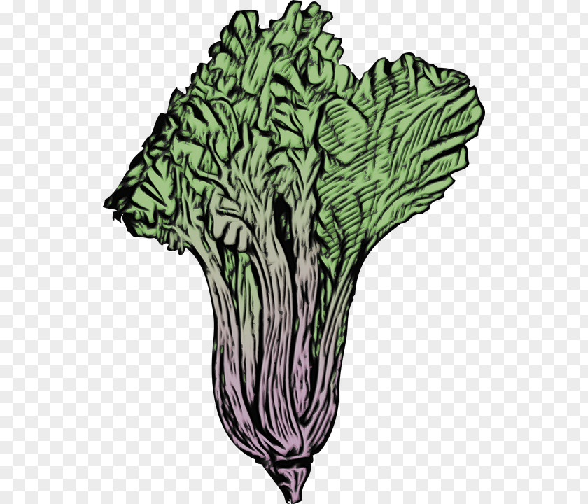 Cruciferous Vegetables Tree Cabbage Leaf Vegetable Plant PNG