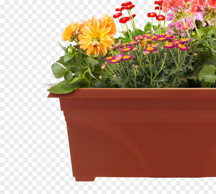 Patio Amazon.com Flowerpot Container Garden PNG