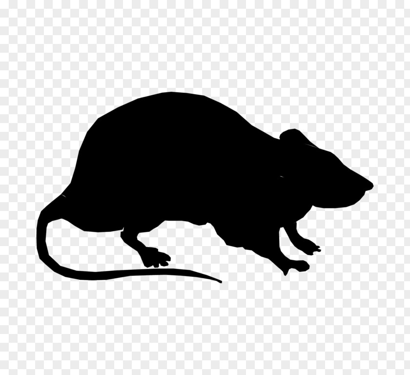 Silhouette Laboratory Rat Black Clip Art PNG