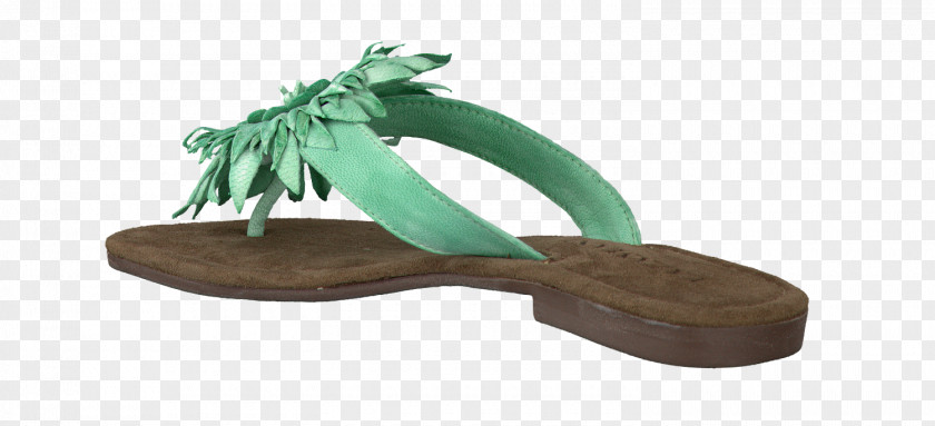 Flip Flops For Women Shoe Sandal Walking PNG