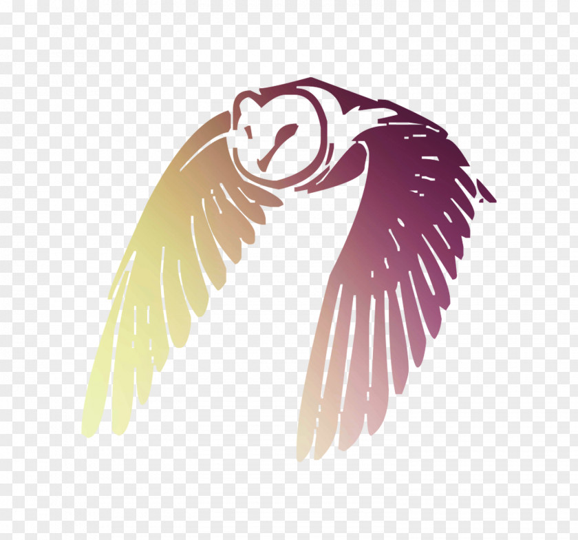 Owl Bird Flight Image Feather PNG