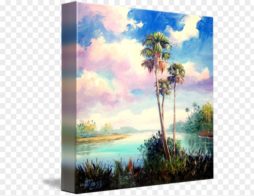 Sabal Palm Watercolor Painting Acrylic Paint Picture Frames PNG