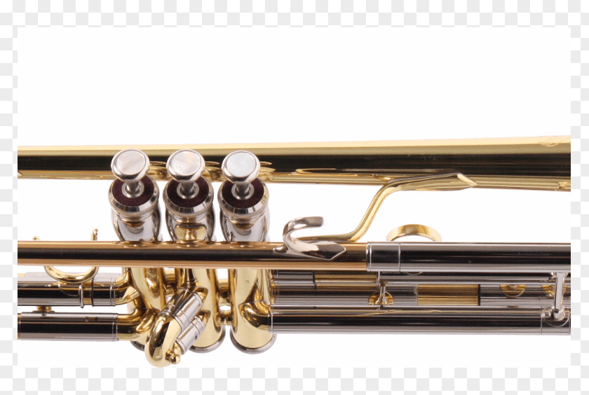 Trumpet Western Concert Flute Types Of Trombone Piccolo PNG