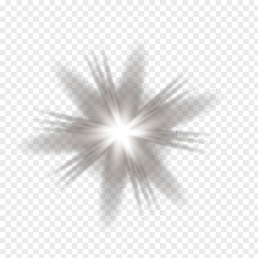 Vector Material Pattern White Light Halo Luminous Efficacy PNG