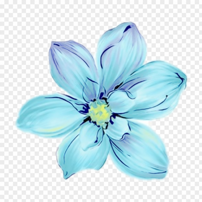 Wildflower Flowering Plant Blue Petal White Flower PNG