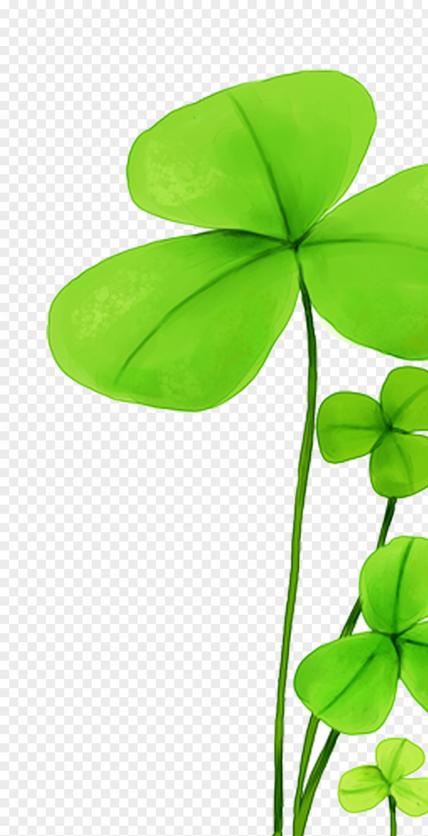 Clover HD Clips Four-leaf PNG