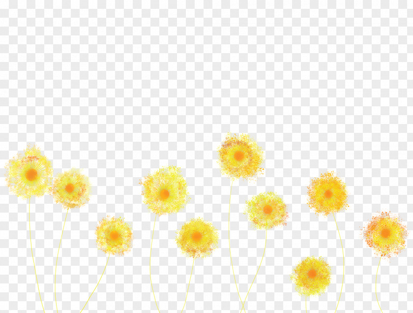 Dandelion Yellow Flower Plant Petal PNG