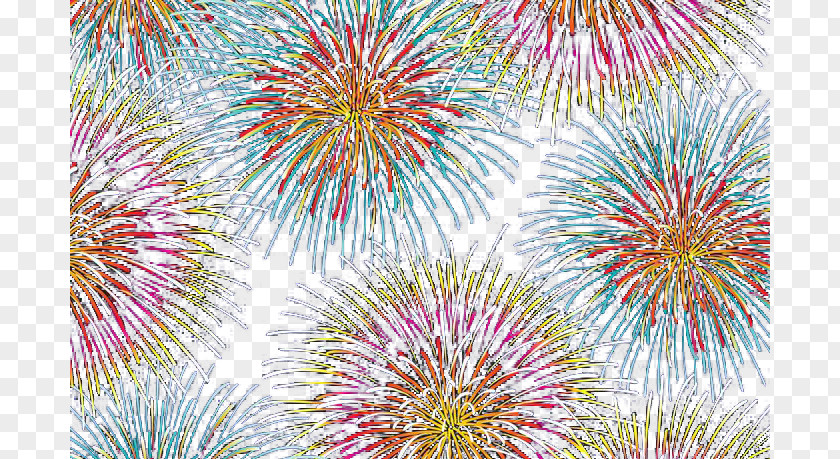 Multicolored Fireworks Sumidagawa Festival PNG