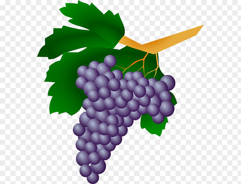 Uvas White Wine Grape Kyoho Straw PNG