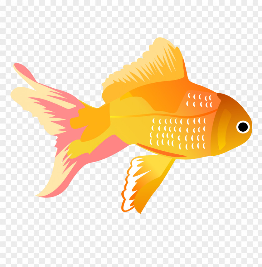 Yellow Tropical Fish Koi Carassius Auratus Clip Art PNG