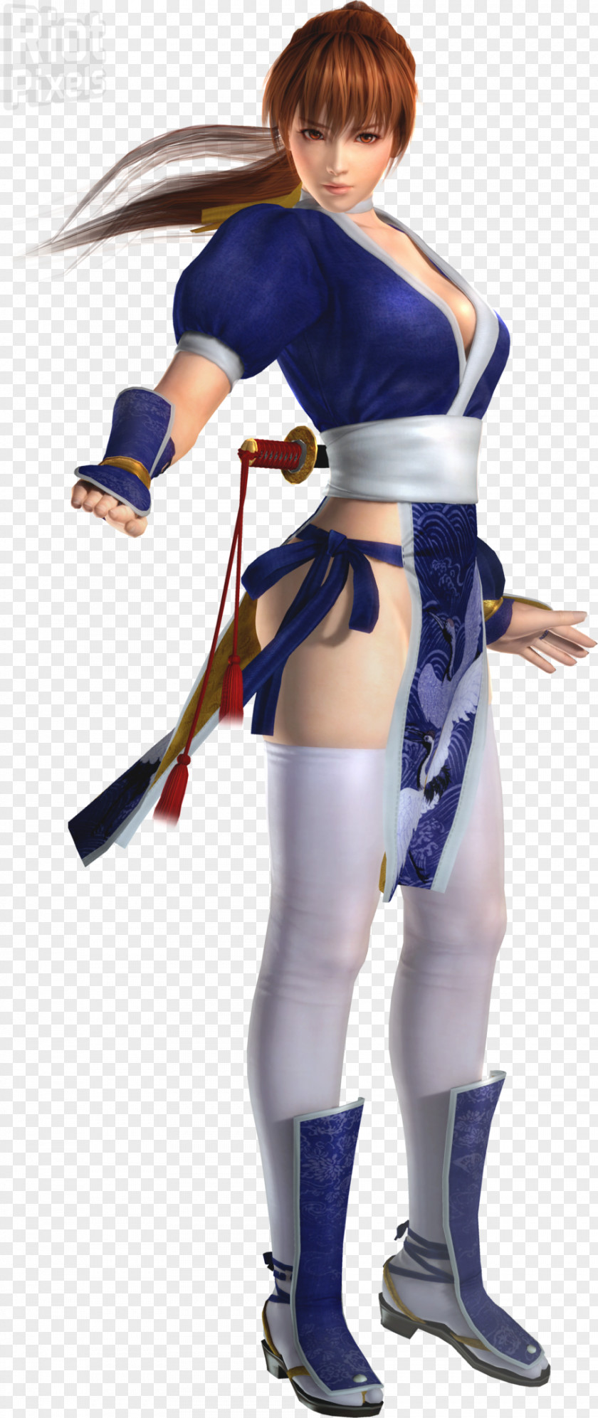 Cosplay Dead Or Alive 5 4 Kasumi DOA: PNG