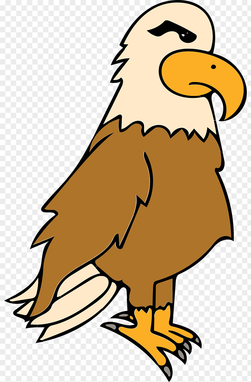 Eagle Bird Clip Art PNG