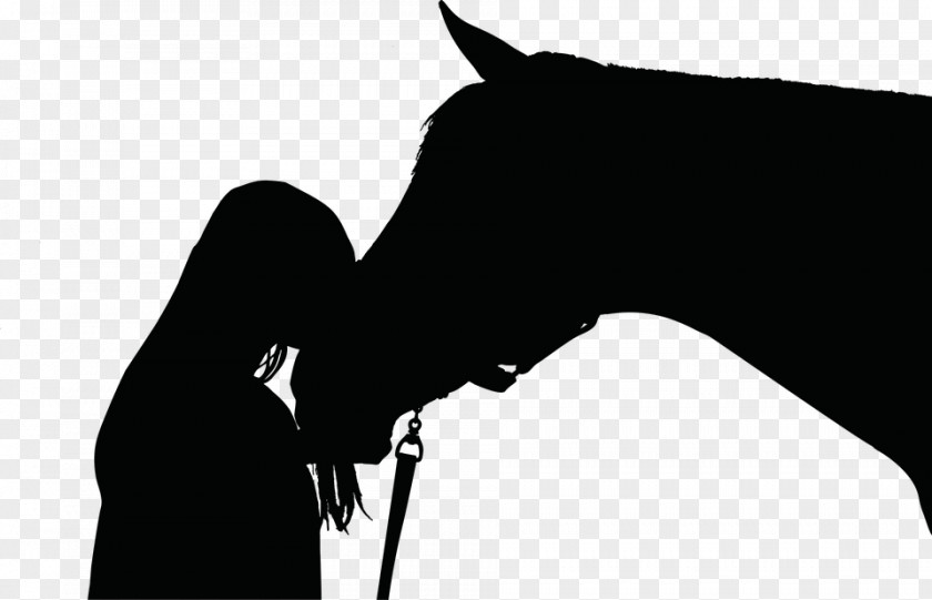 Pferdekopfkostenlos Horse Equestrian Silhouette Pony Clip Art PNG