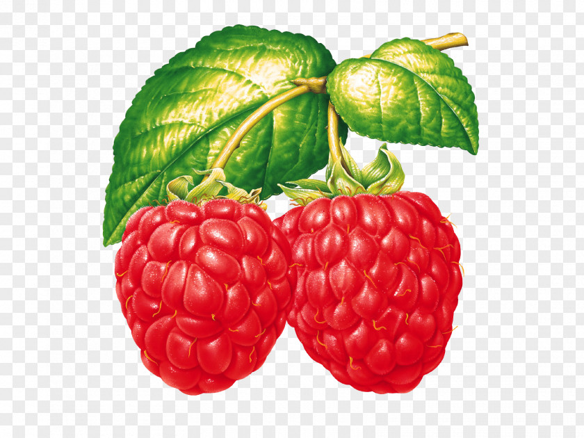 Raspberry Food Strawberry Clip Art PNG