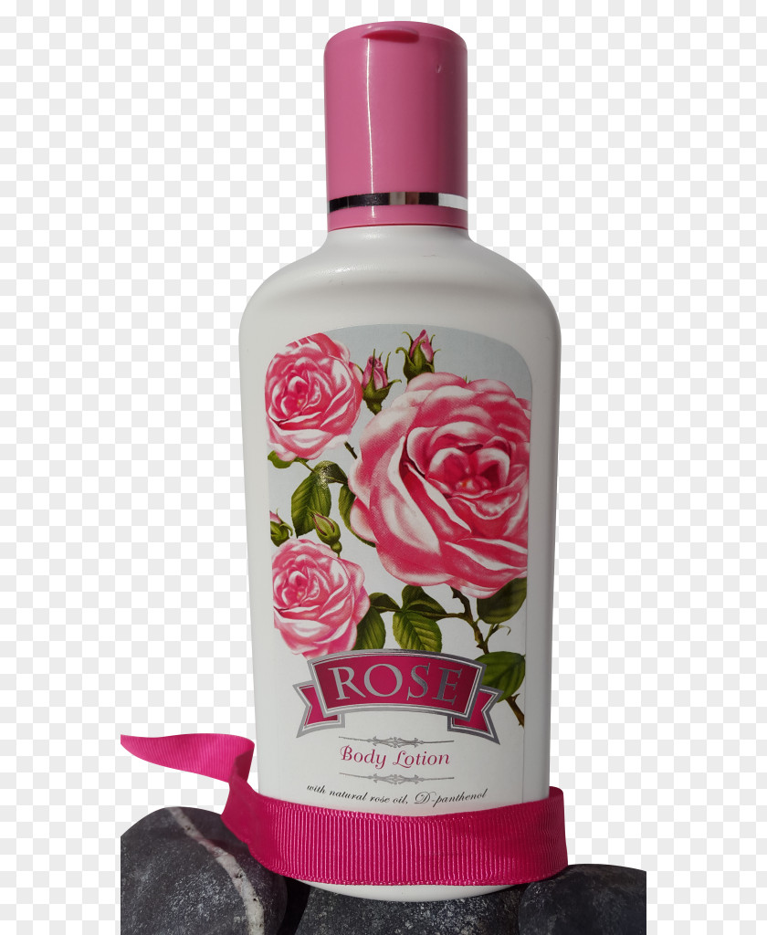 Shampoo Lotion Rose Valley, Bulgaria Oil Cream PNG