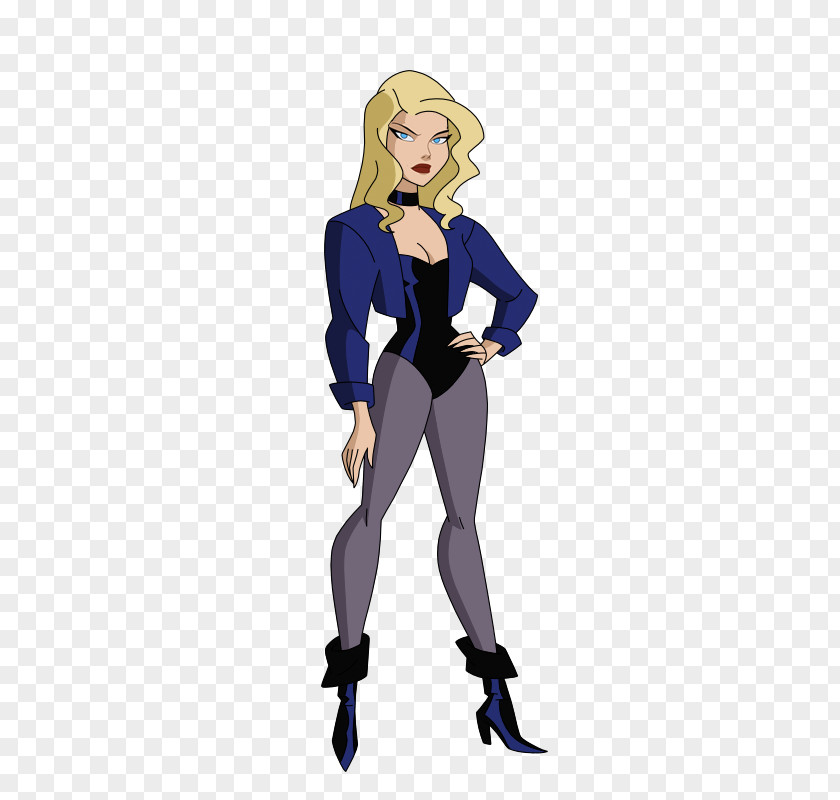 Zatanna Black Canary Justice League Unlimited Green Arrow Star Sapphire Hawkgirl PNG