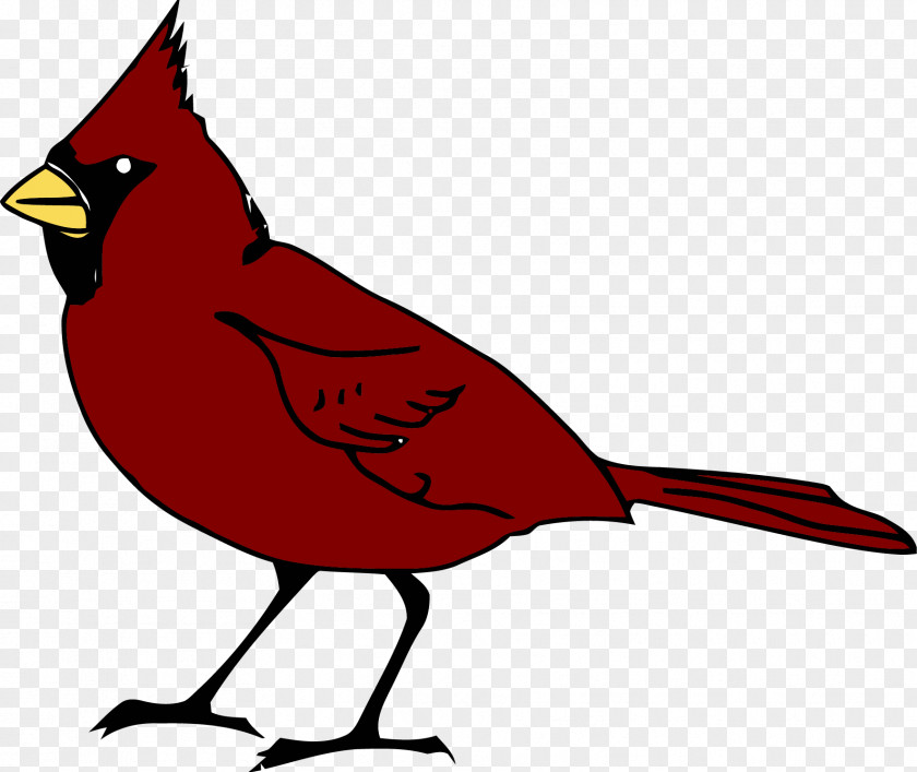 Bird Clip Art PNG