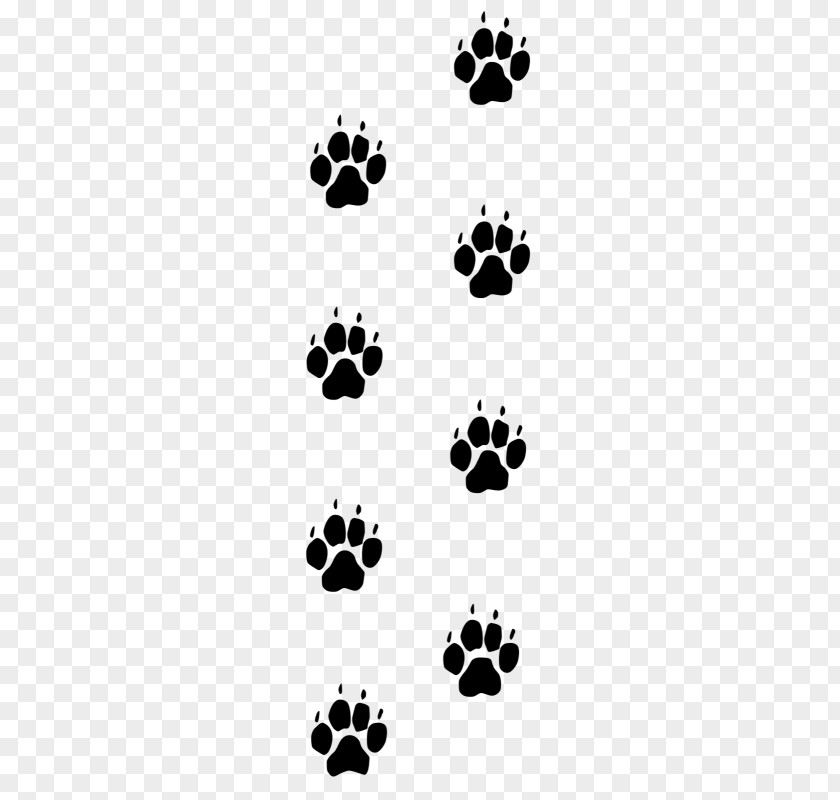 Dog Paw Cat Footprint Fox PNG