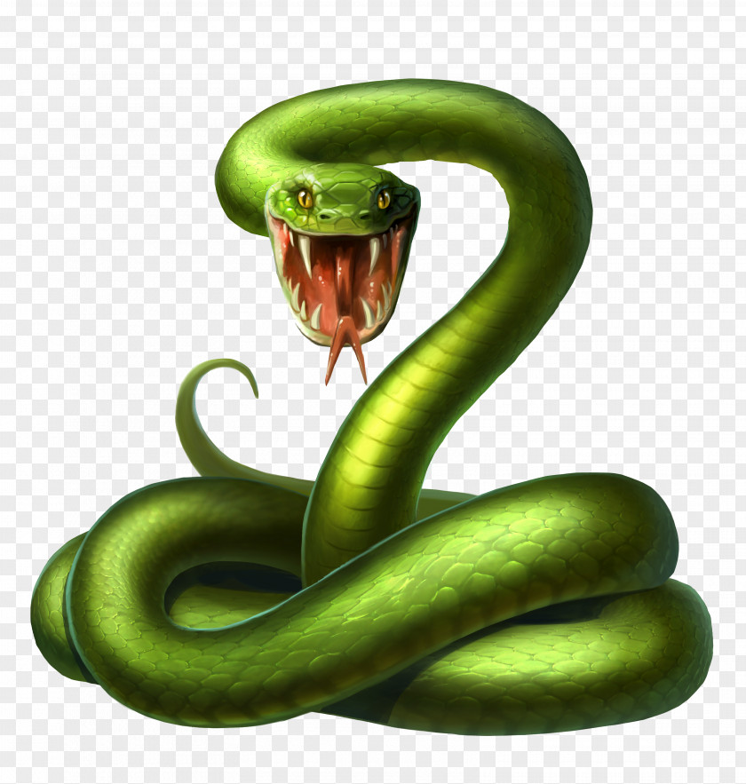 Green Snake Poison Android Illustration PNG