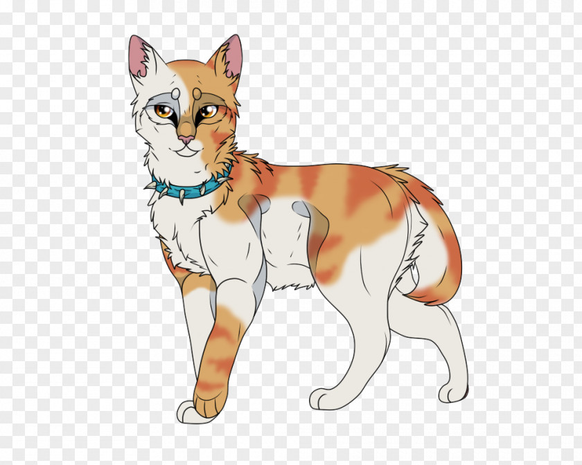 Kitten Whiskers Wildcat Red Fox PNG