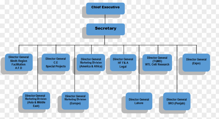Travel Agency Organizational Chart Structure Diagram Industry PNG