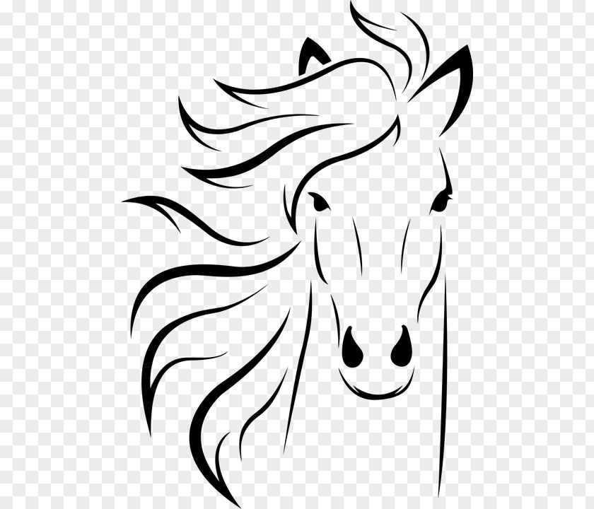 Arabian Horse Stallion Line Art Drawing Clip PNG