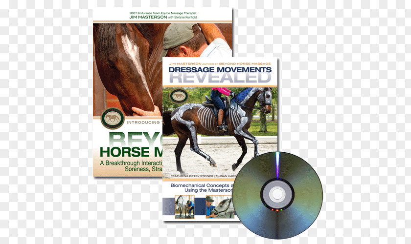 Dressage Horse Riding And Training Rein Equestrian PNG